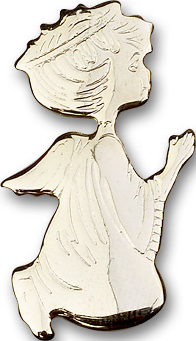 Angel Visor Clip