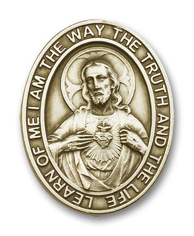 Scapular Visor Clip