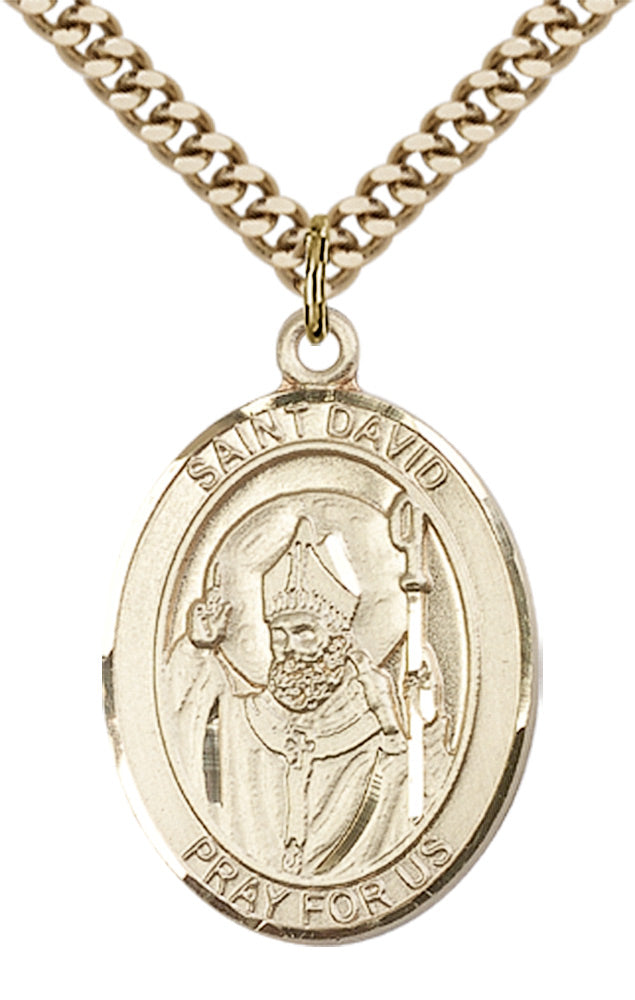 Saint David of Wales Pendant - 24" Chain Necklace