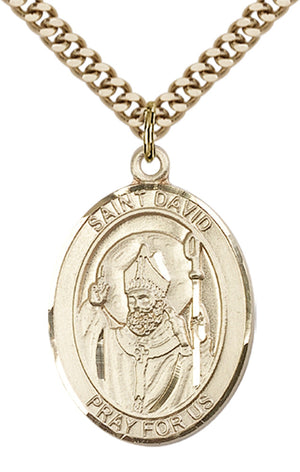 Saint David of Wales Pendant - 24" Chain Necklace