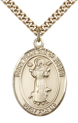 Saint Francis of Assisi Pendant - 24" Chain Necklace