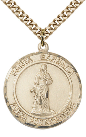 Santa Barbara Pendant - 24" Chain Necklace