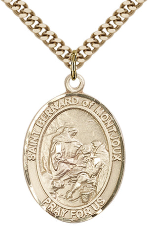 Saint Bernard of Montjoux Pendant - 24" Chain Necklace